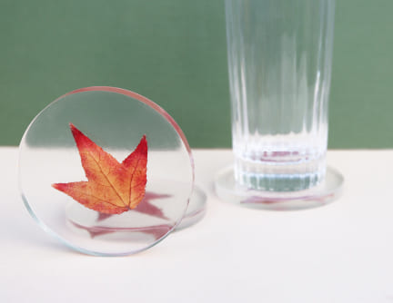 sous verres résine inclusion feuille automne